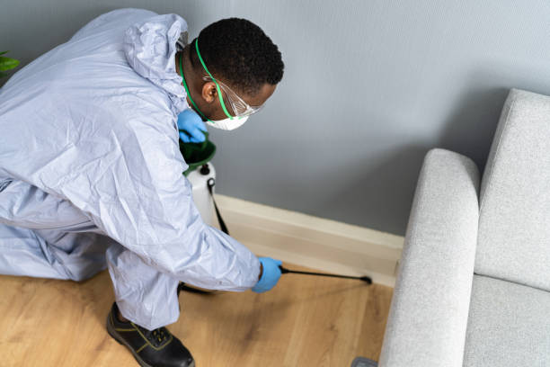 Best Termite Inspection and Treatment  in Erma, NJ